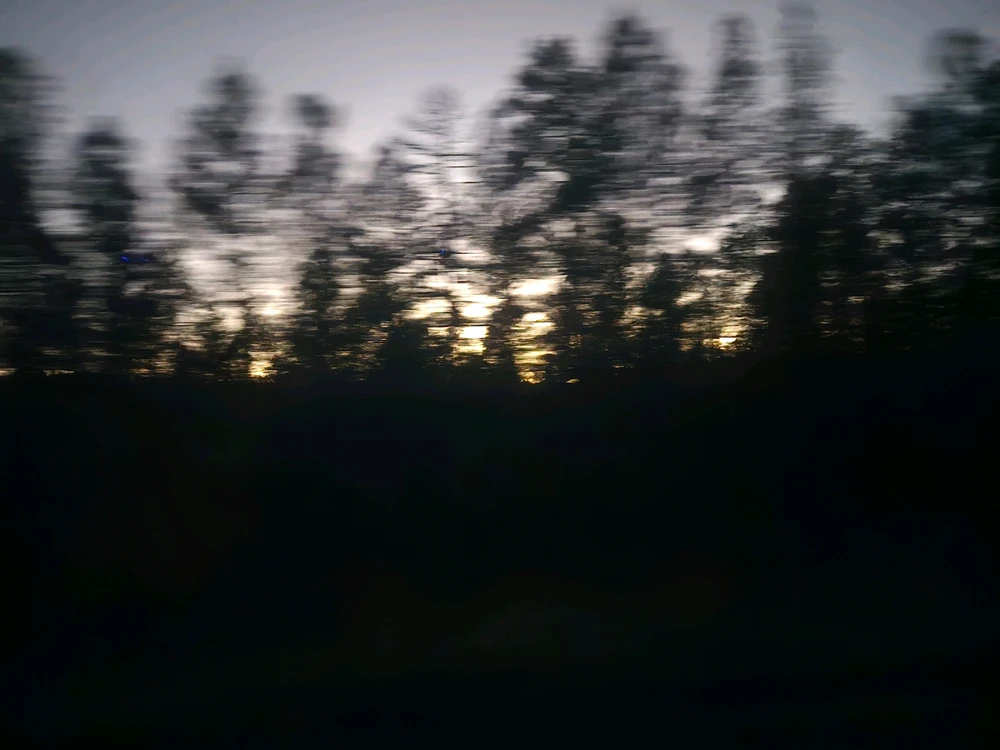 Image uploaded by Joe