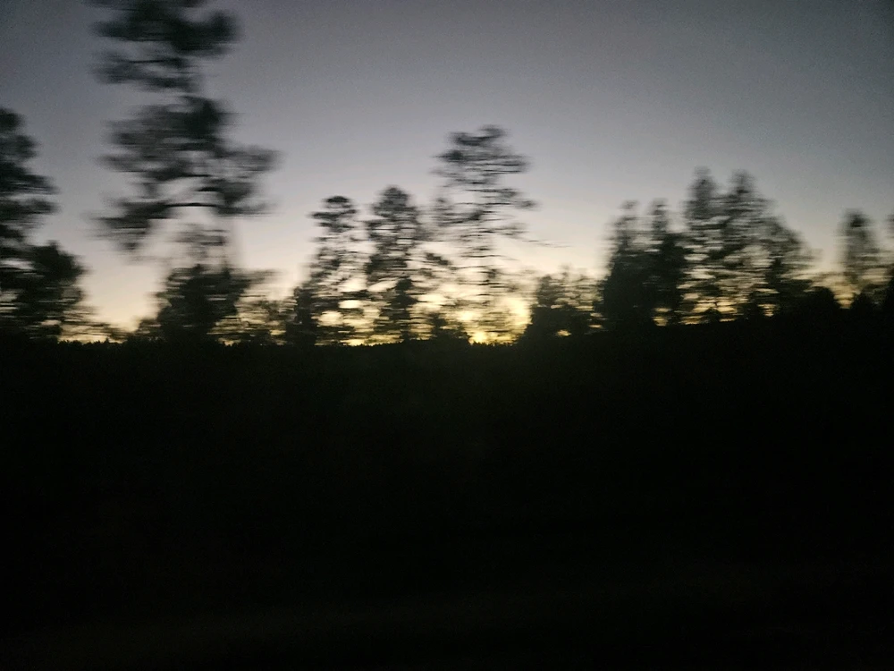 Image uploaded by Joe