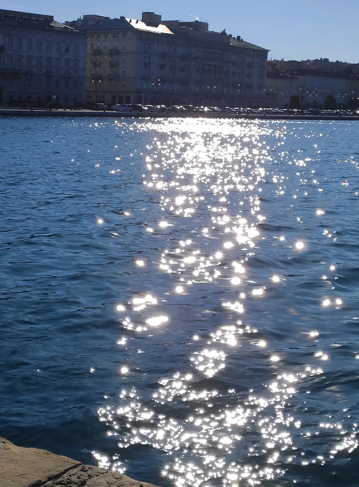 Immagine caricata da Jgor