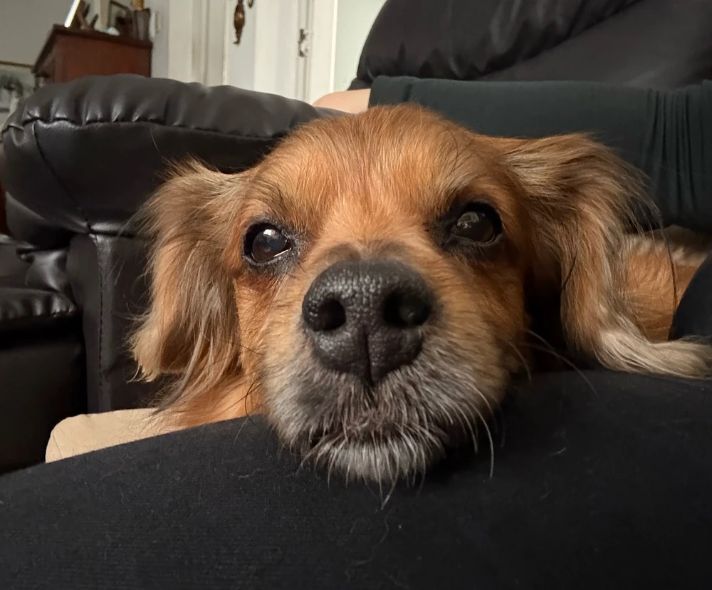 GIF diunggah dening Xime