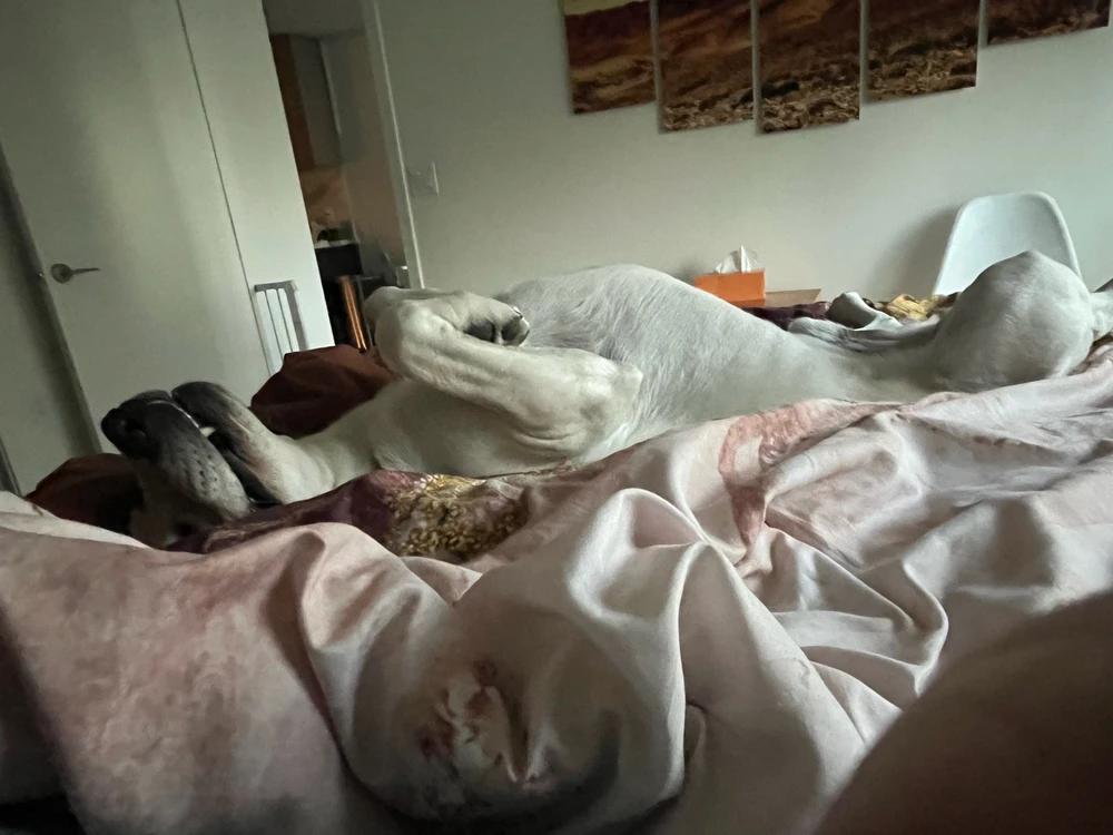 Image uploaded by Ron