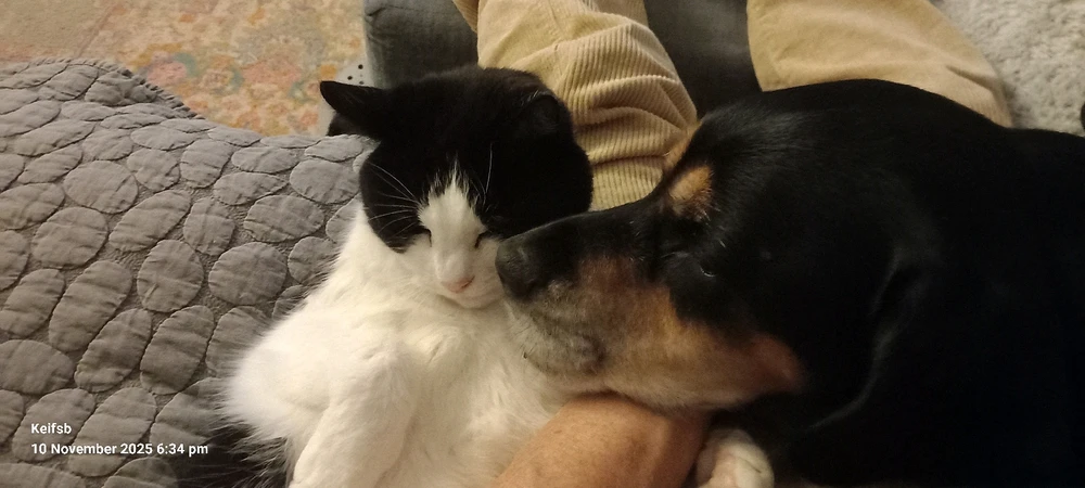 Image uploaded by Keith