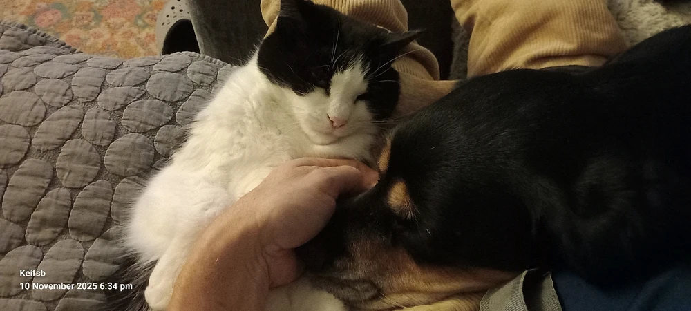 Image uploaded by Keith