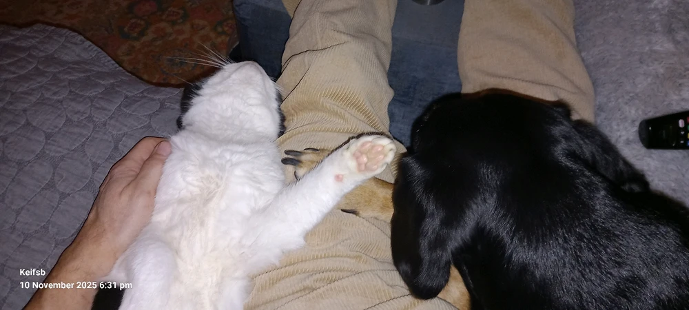 Image uploaded by Keith