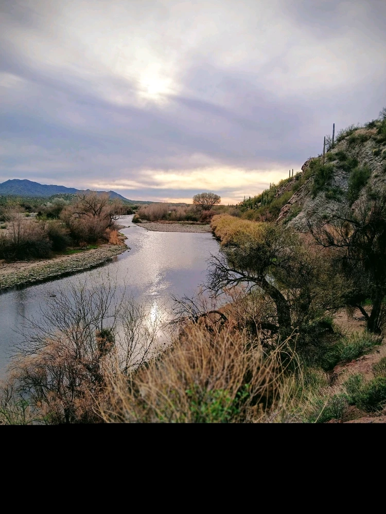 GIF uploaded by Brandon