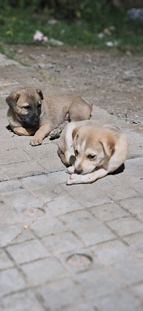 GIF diunggah dening Anjith