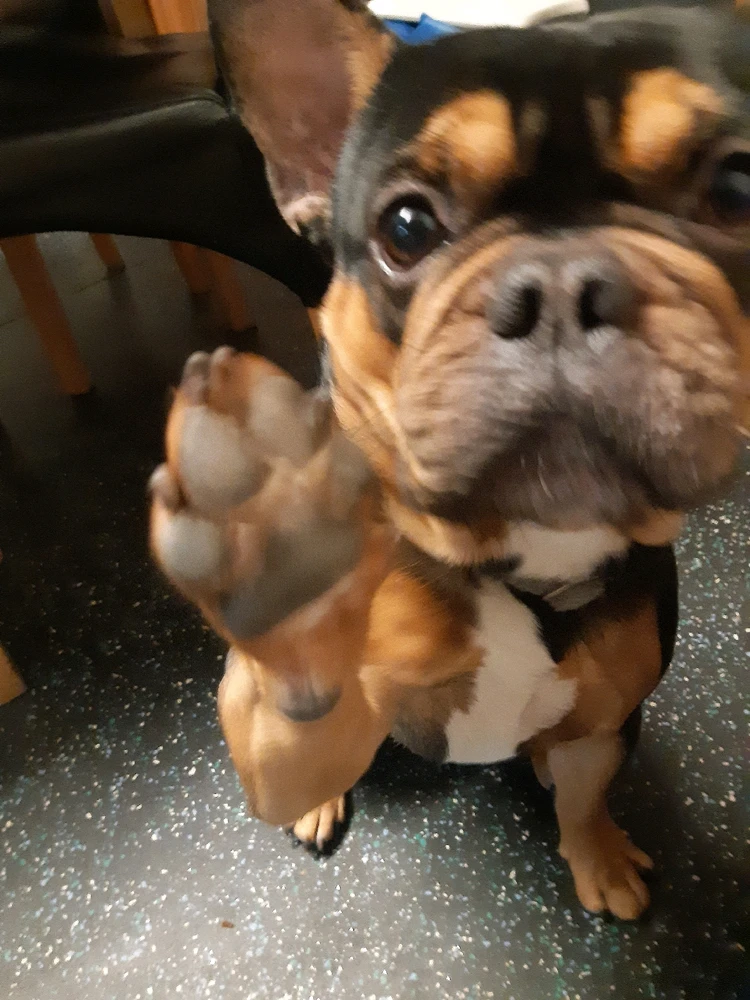 GIF uploaded by Bradley