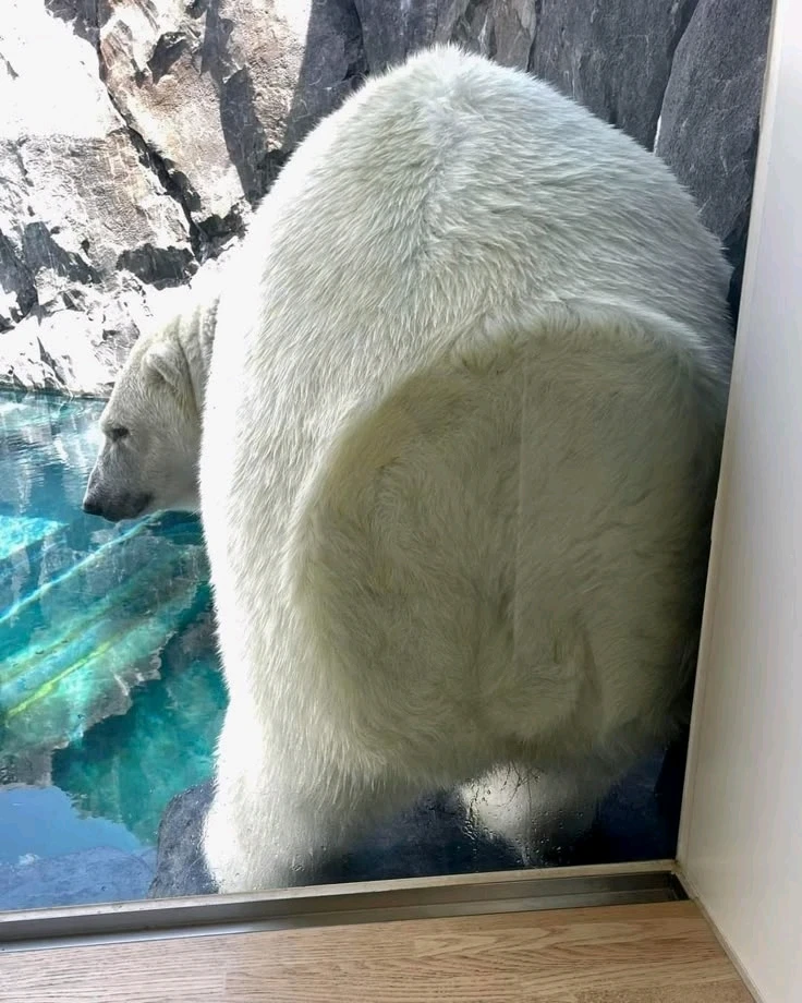 GIF uploaded by Istvan (Steven)