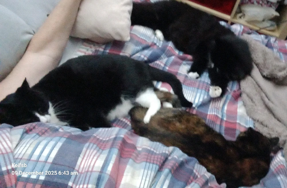 GIF uploaded by Keith