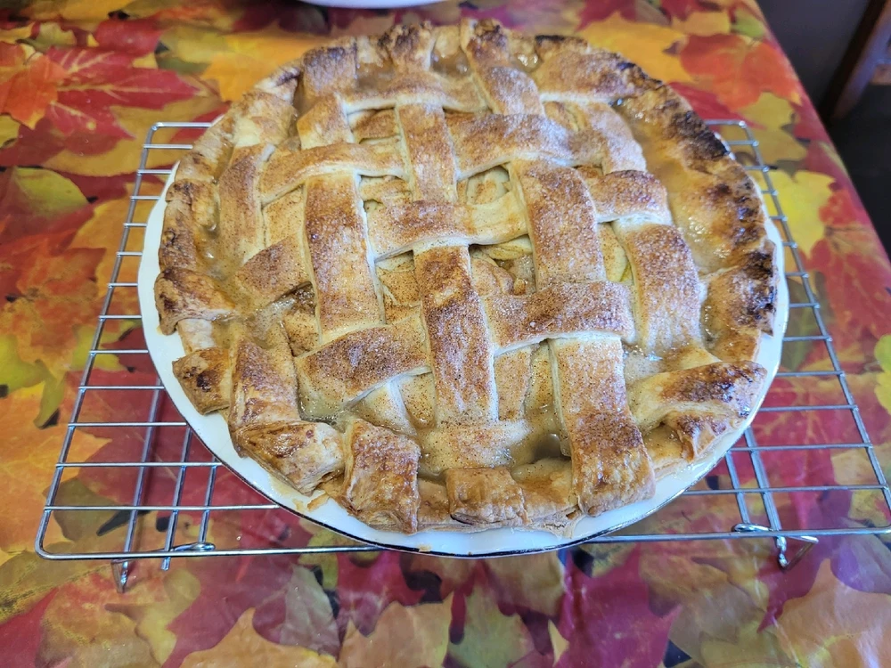 GIF uploaded by Mason