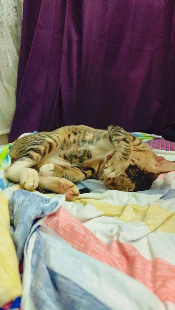 GIF uploaded by Rahul