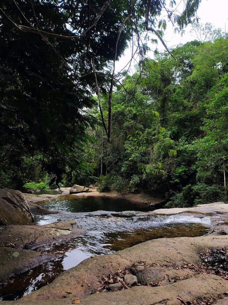 Imagem enviada por Pablo