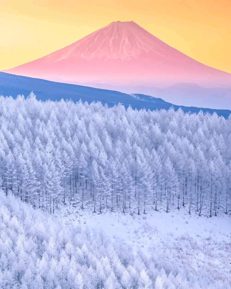 GIF ajouté par Stef