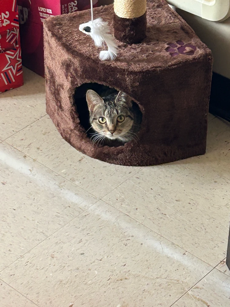 GIF uploaded by Daniel