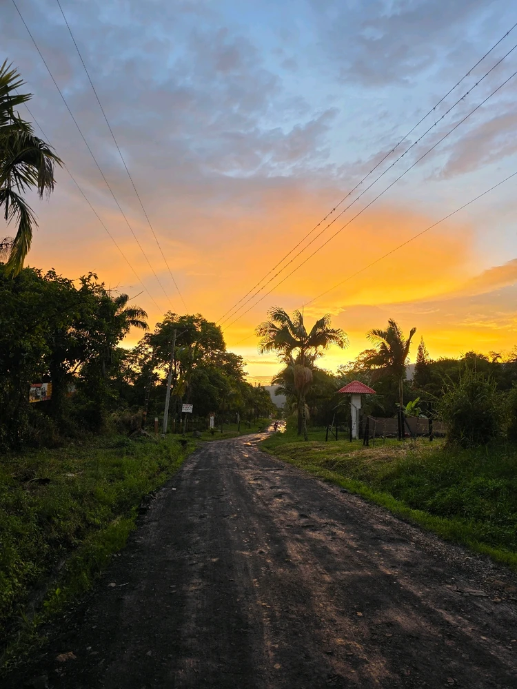 GIF uploaded by Sofí