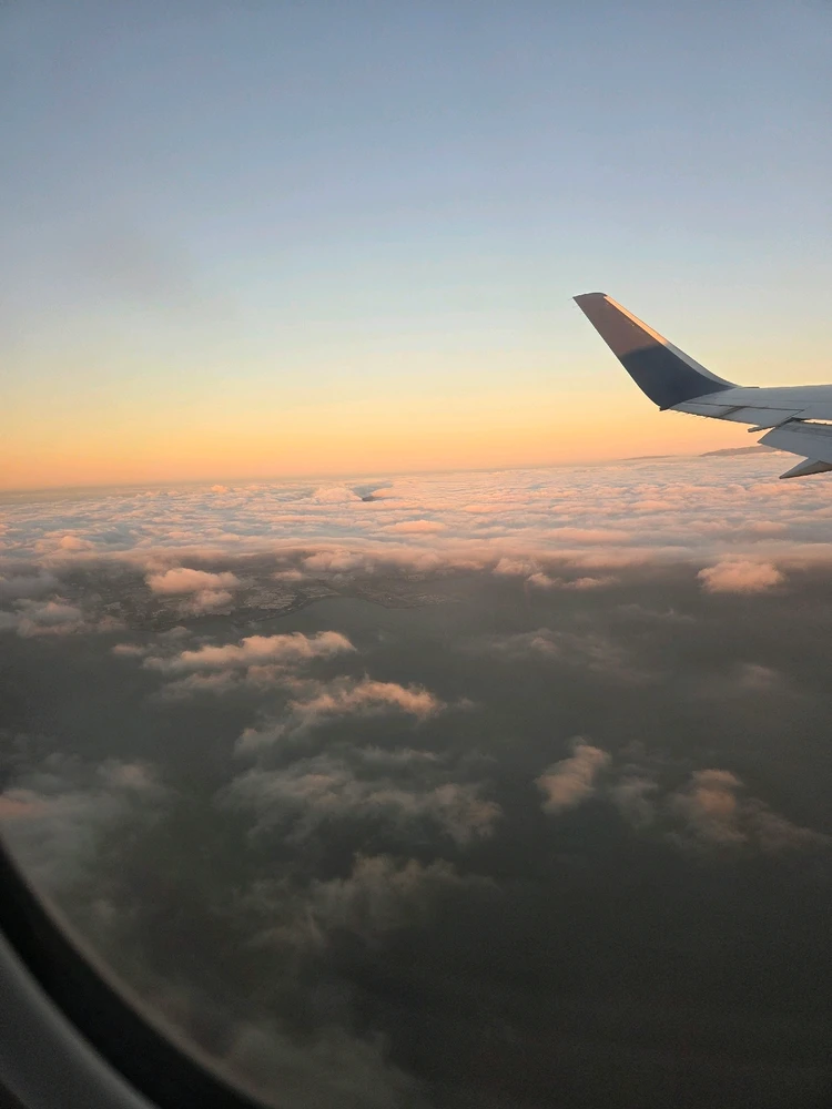 Image uploaded by Denis