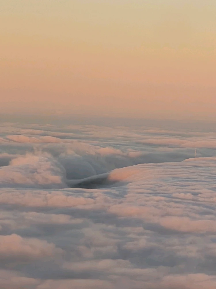 Image uploaded by Denis