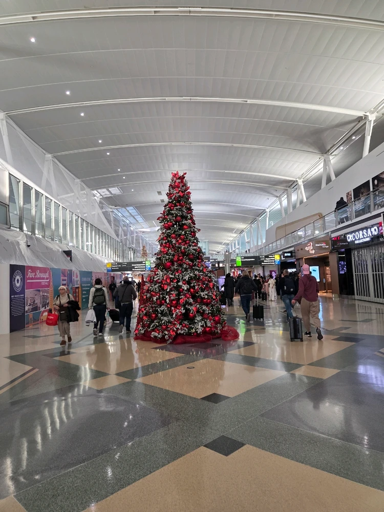 Image uploaded by Denis