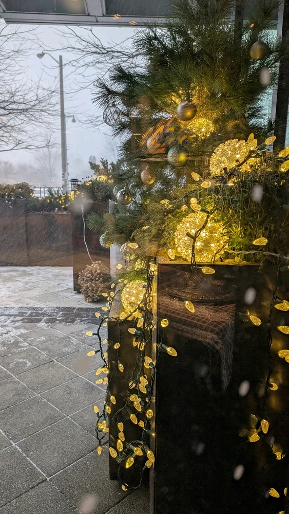 GIF uploaded by Dana