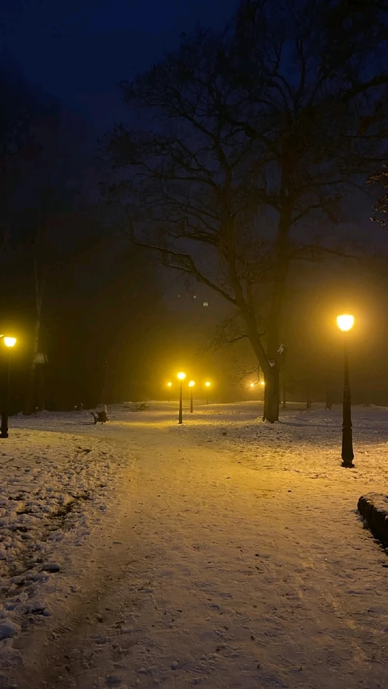 GIF diunggah dening Professor