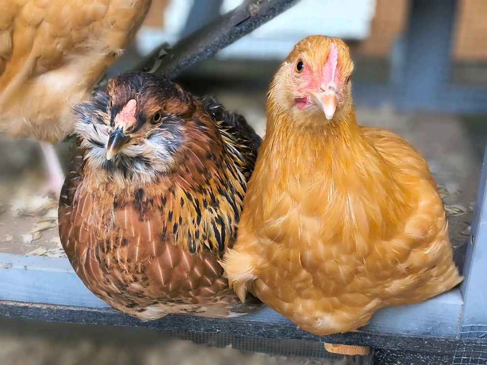 GIF uploaded by Shara