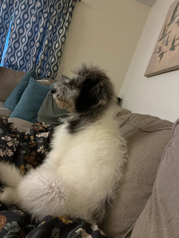 GIF uploaded by Reed