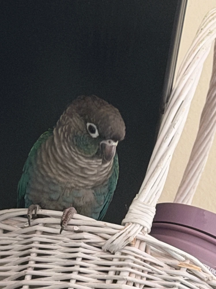 Gambar diunggah dening Lily