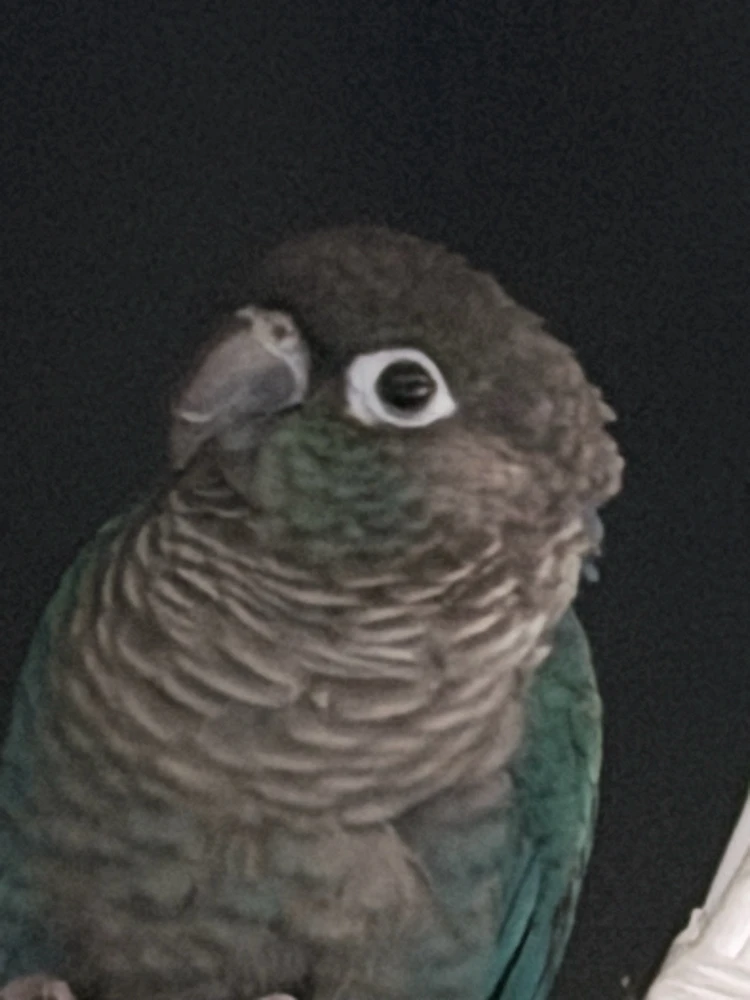 Gambar diunggah dening Lily