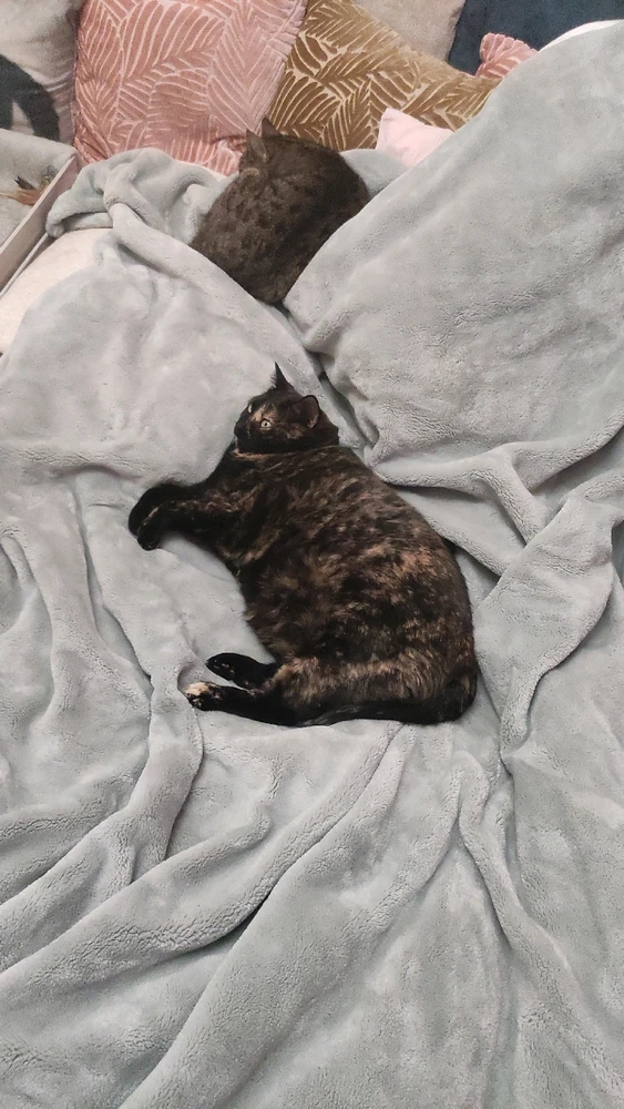 Image uploaded by Nathalie