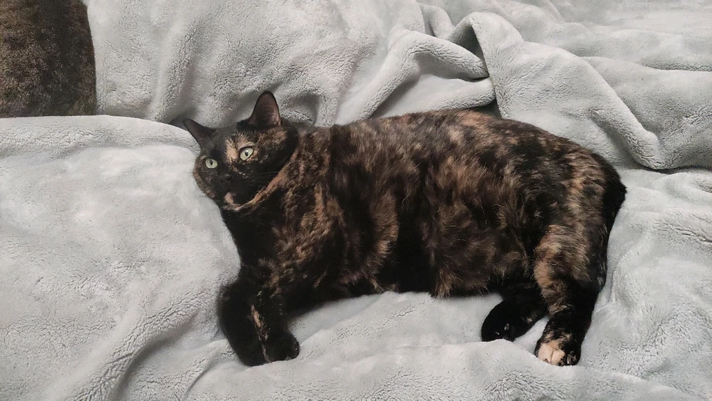 Image uploaded by Nathalie