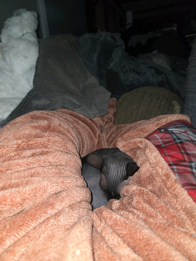 GIF uploaded by Alex