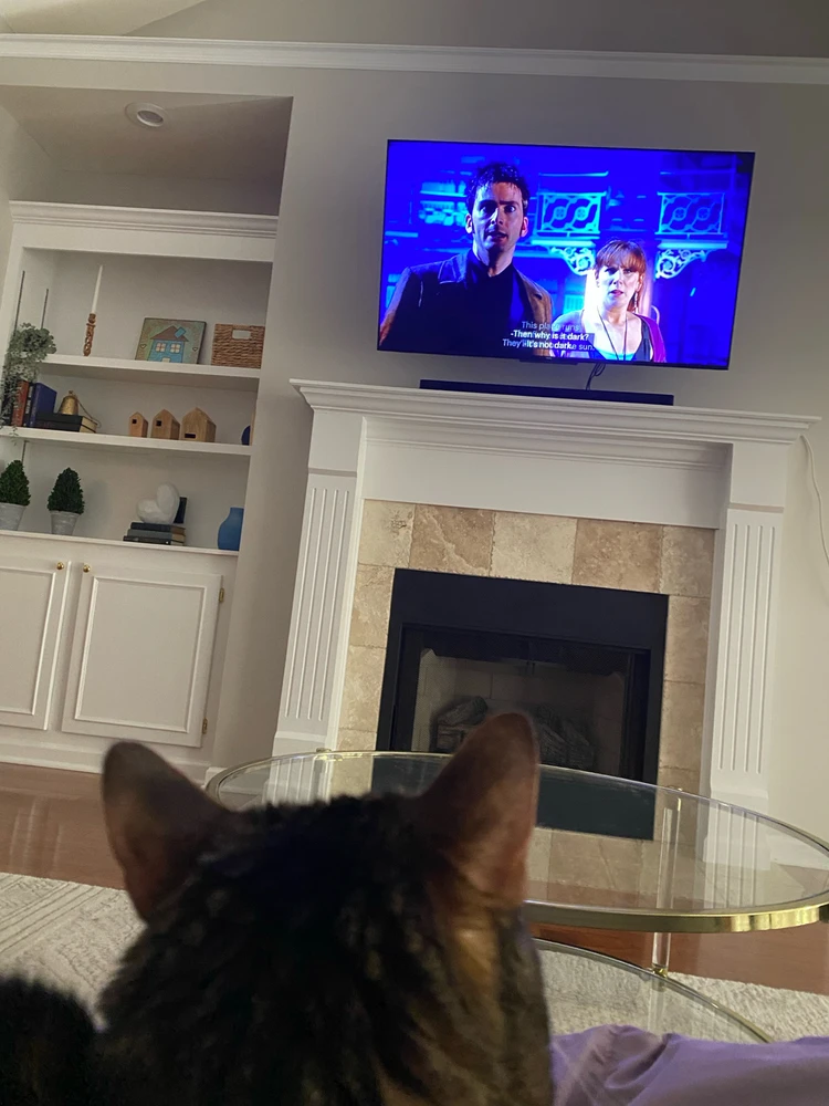 GIF uploaded by Allison