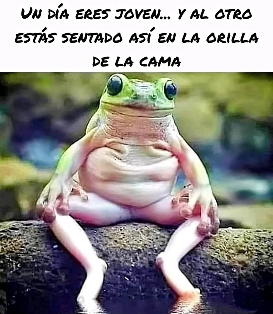 GIF uploaded by ❤ Sophia aka Mango Mami ❤️