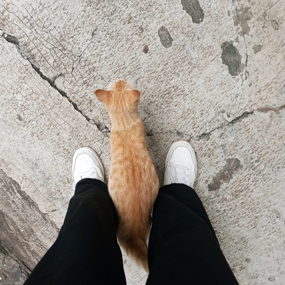 GIF uploaded by Alkaa