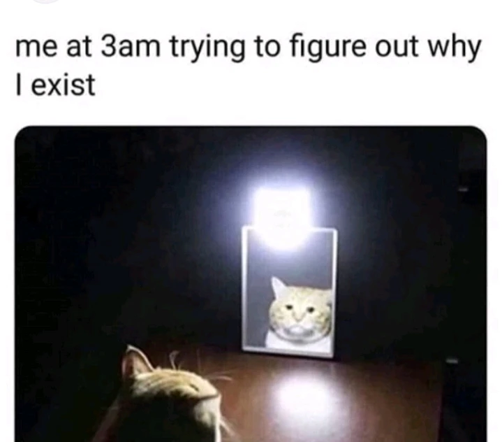 GIF uploaded by Andy