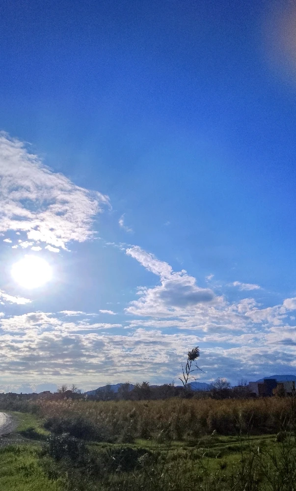 GIF uploaded by Thomas Anderson