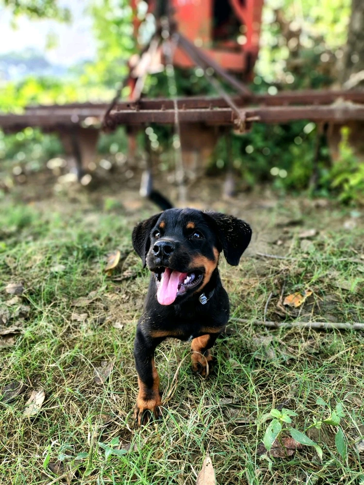 GIF uploaded by Kunal Pratap Singh