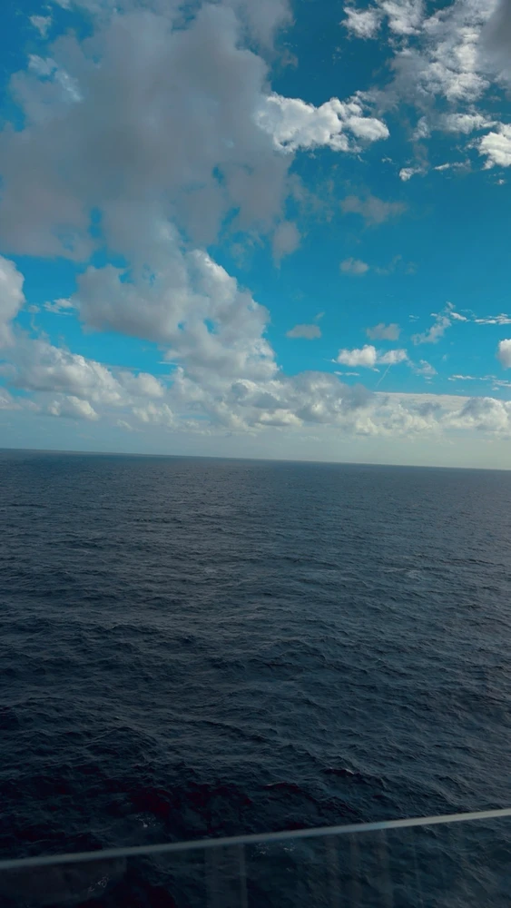 Image uploaded by Emma