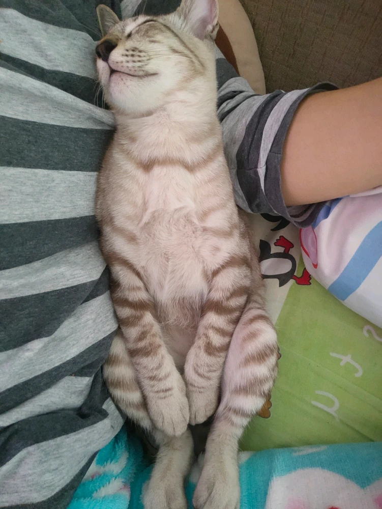 GIF อัปโหลดโดย Jellyfish