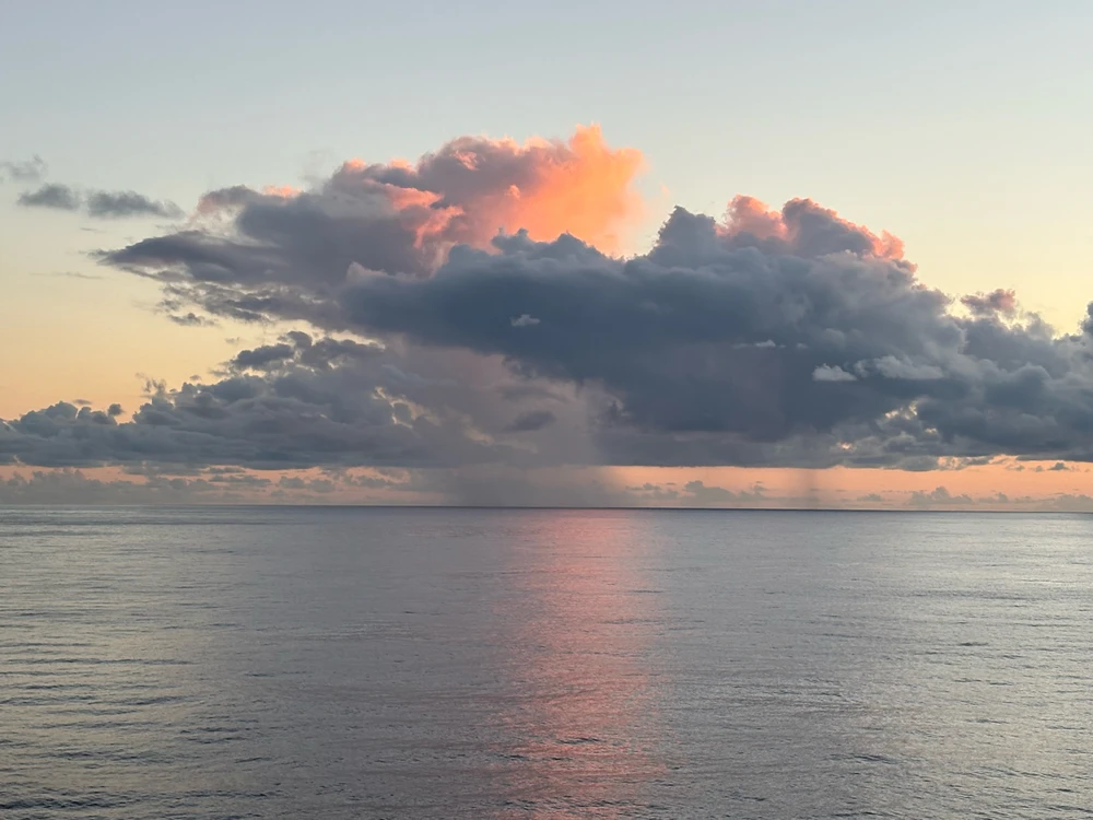 Image uploaded by Kane