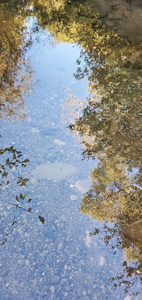 由Conlan上传的图片