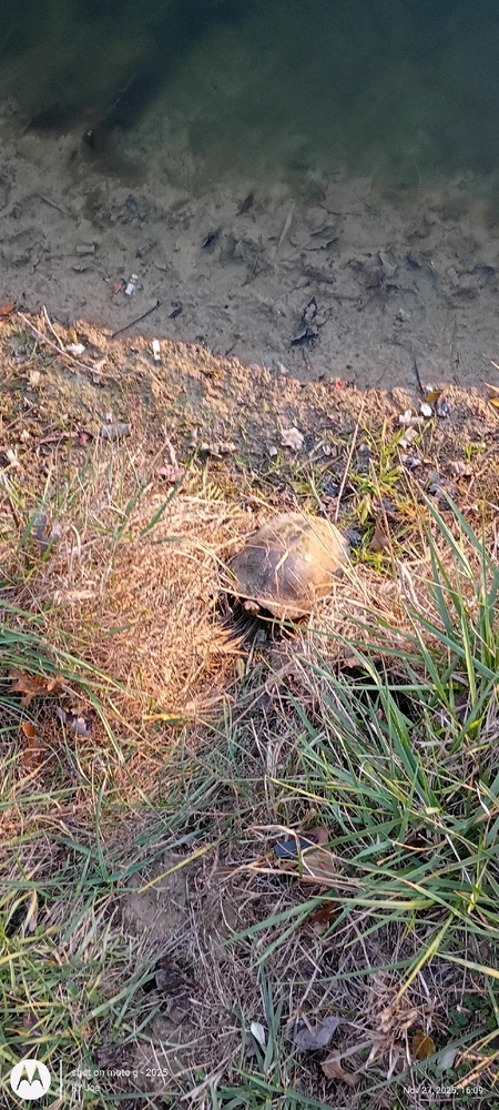 Image uploaded by KY Joe