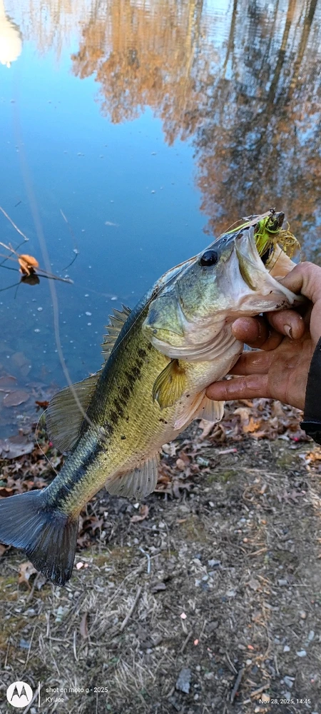 Image uploaded by KY Joe