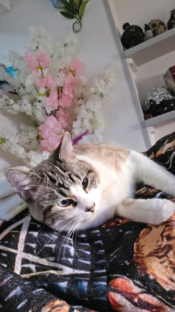 GIF ajouté par Samantha