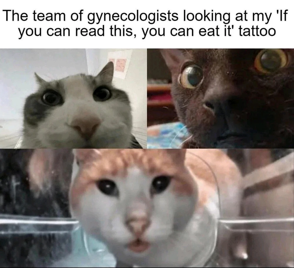 GIF uploaded by Ronen