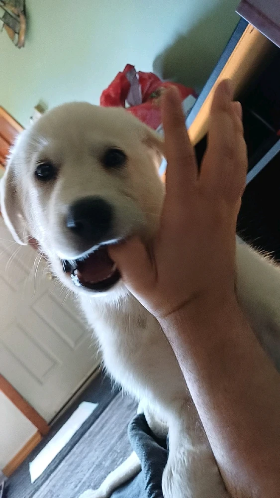 Gambar diunggah dening Mason