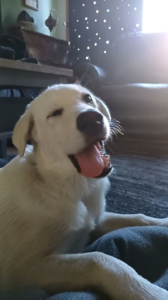 Gambar diunggah dening Mason