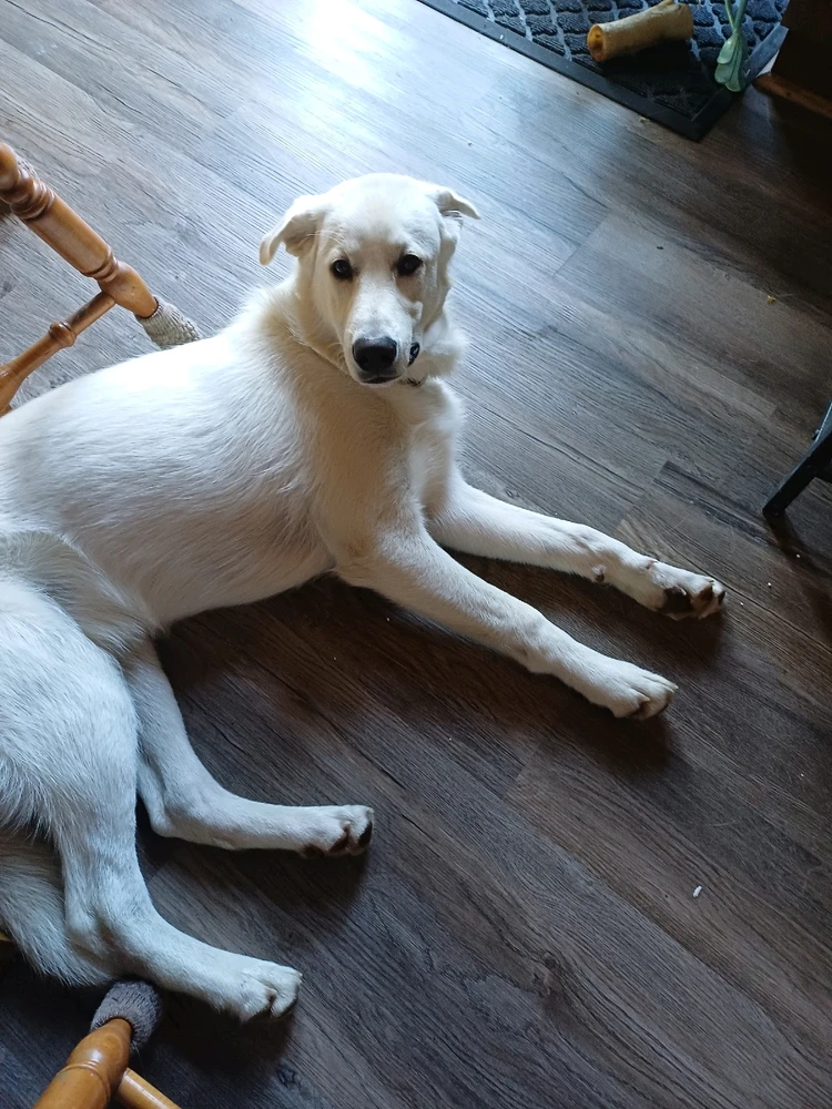 Gambar diunggah dening Mason