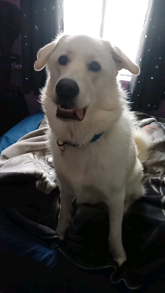 Gambar diunggah dening Mason