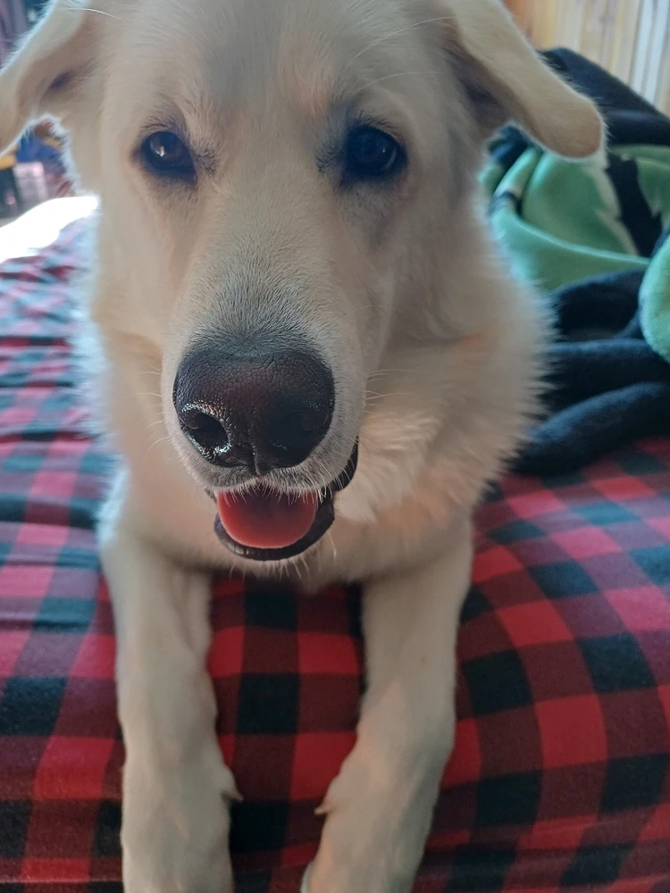 Gambar diunggah dening Mason